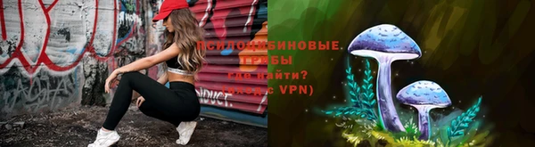 jwh Вяземский
