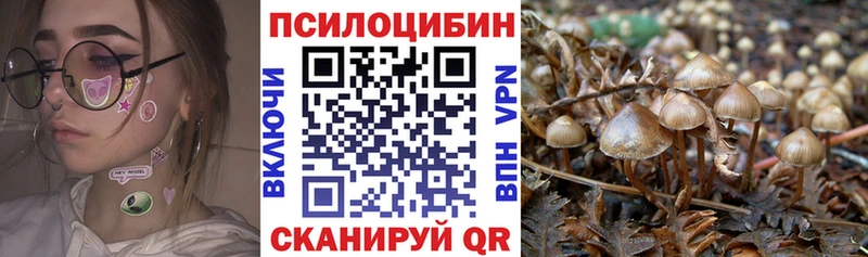 Галлюциногенные грибы Magic Shrooms  Ельня 